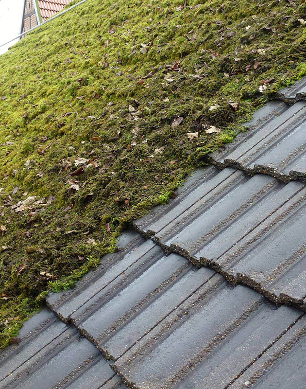 Nettoyage et demoussage de toiture à Saint-Mandé dans le Val de Marne 94