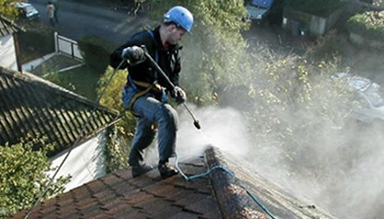 Nettoyage et démoussage de toiture à Saint-Mandé dans le Val de Marne 94